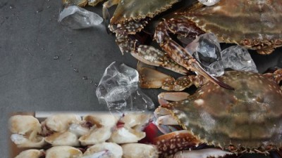 🦀 놓치면 후회! 태안 당일 조업 꽃게 초특가 후기 🦀