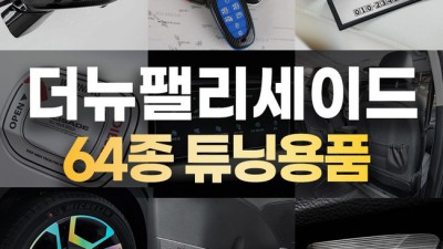 놓치면 후회! 더뉴팰리세이드 악세사리 득템 후기 (꿀팁 대방출) ✨