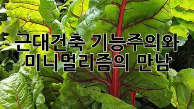 근대건축: 기능주의와 미니멀리즘의 만남